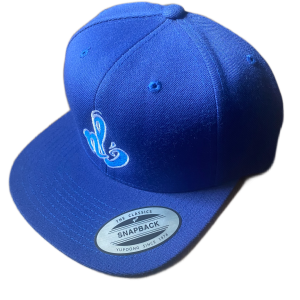 nl style royal blue snapback