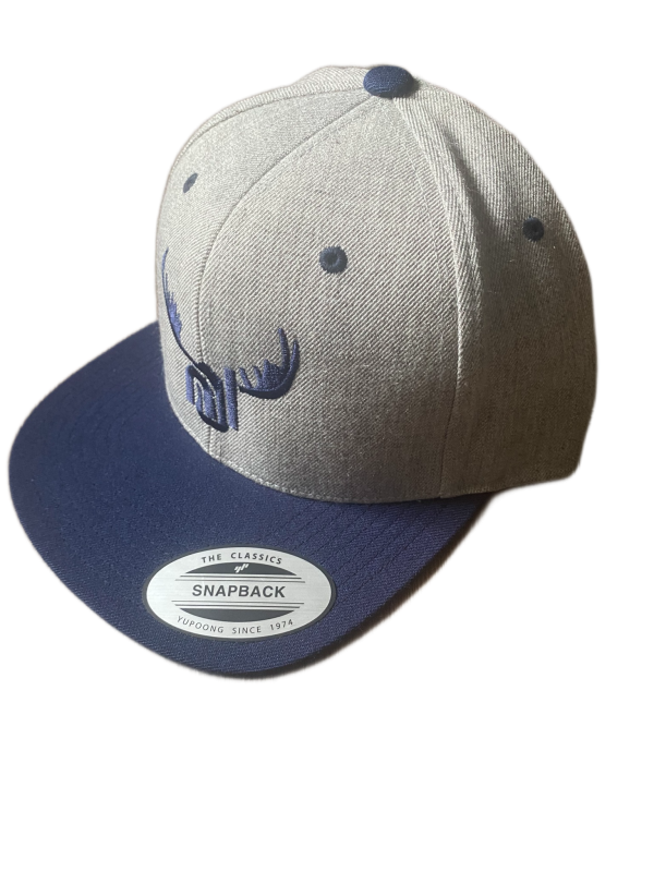 antlers heather snapback hat